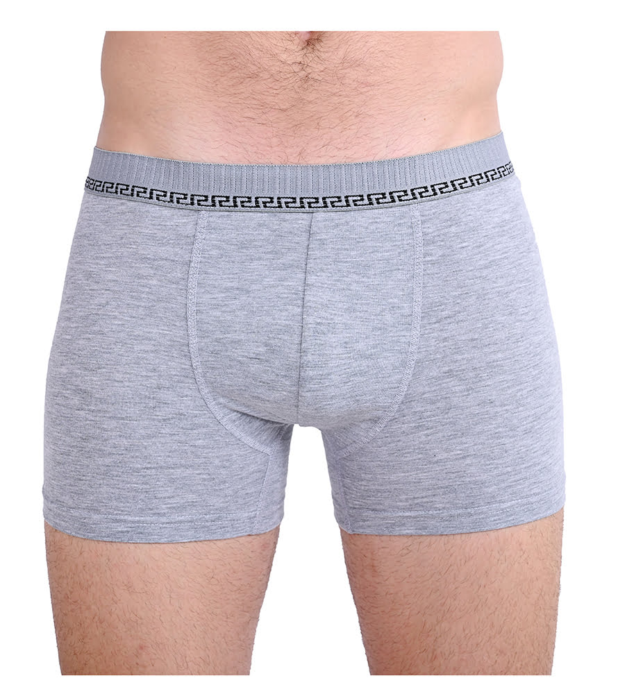 Μπόξερ ανδρικό γκρι