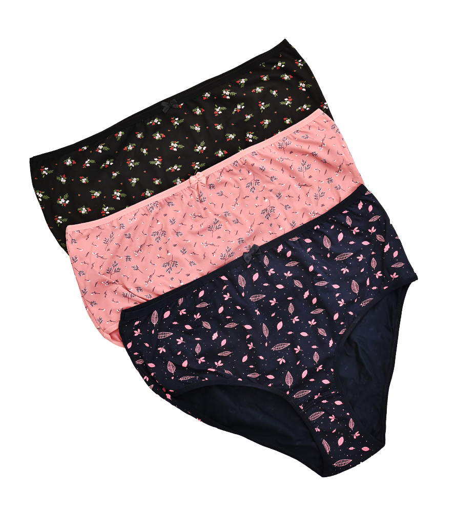 Plus size panties pack