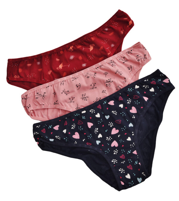 Κυλοτάκια με σχέδιο πακέτο