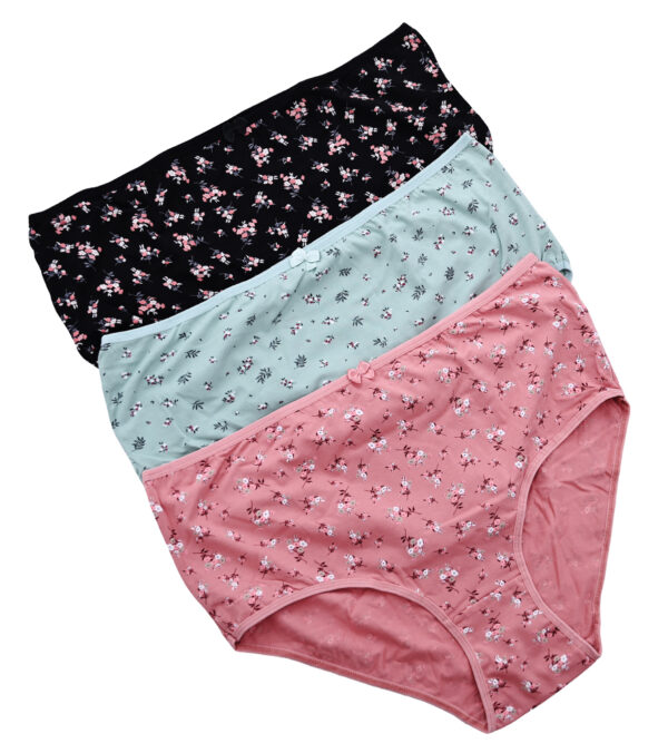Pack of 3 women's cotton panties